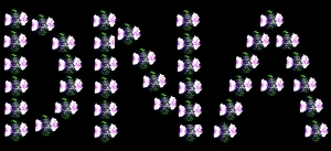 DNA Structure Drucke: DNA