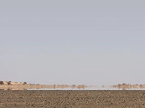 Drucke von Ein Mirag ist ein natürlich vorkommendes optisches Phänomen, bei dem Lichtstrahlen gebogen werden, um eine verlegte Abbildung von entfernten Objekten oder dem Himmel zu erzeugen Bilder Datiert 2011 Mai: Wüstenwunder, Libyen