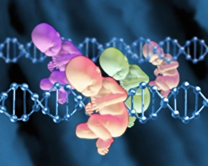 Deoxyribonucleic Acid (DNA) Drucke: Designer babies