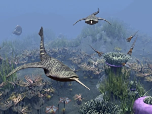 Devonian Period Fossils Drucke: Devonian sea, artwork