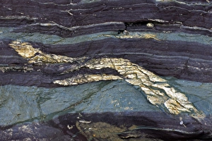 Devonian slates C017 / 8324