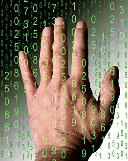 Digitale Wissen, konzeptuelle Bildung