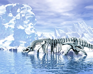 Dinosaur Fossils Drucke: Dinosaur bones