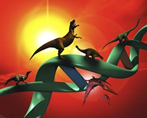 Double Helix Structure Drucke: Dinosaur DNA