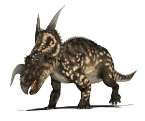 Drucke von Ein Iosaurus ist ein Dinosaurier aus dem Computerartwork. Dieser hornen Pflanzenfressender Dinosaurier wird von Fossilien in Montana (USA) bekannt gemacht Bilder Datiert 2009 Oktober: Ein Iosaurus ist ein Dinosaurier, Kunstwerk