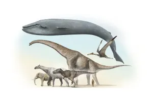Dinosaurier Drucke: Größte Tiere Größe-Vergleich