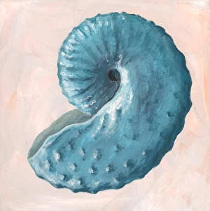 Ammonite Fossil Drucke: Discoscaphites ammonite, artwork