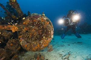 Scuba Diving In Asia Drucke: Diver exploring a plane wreck