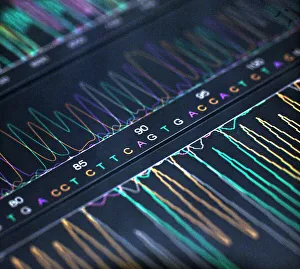 DNA Drucke: DNS-Analyse