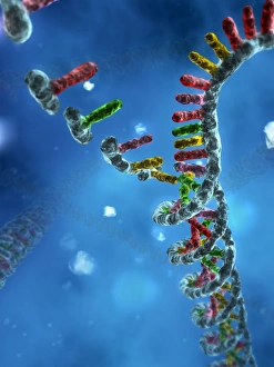 Double Helix Structure Drucke: DNA assembly, artwork