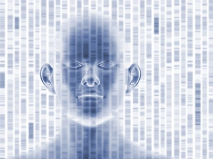 DNA Autoradiogram Drucke: DNA autoradiogram and head