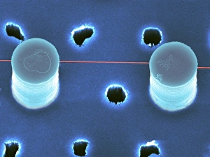 DNABundel auf Silicane-Nanospitzen, SEM