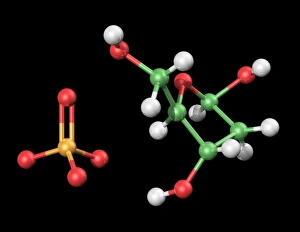 Deoxyribonucleic Acid Drucke: DNA components, artwork C017 / 7350