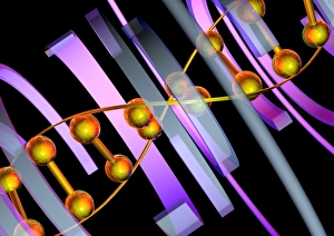 Deoxyribonucleic Acid Drucke: DNA