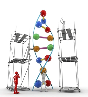 Deoxyribonucleic Acid Structure Drucke: DNA construction, artwork