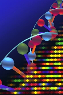 Double Helix Structure Drucke: DNA microarray and double helix