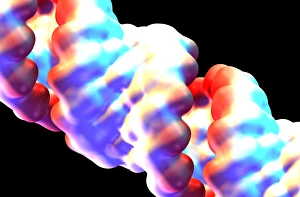 Computer Generated DNA Image Drucke: DNA molecular surface
