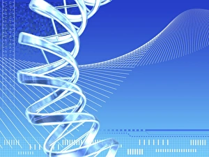 DNS-Molekül