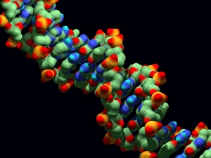 DNA-Molekül