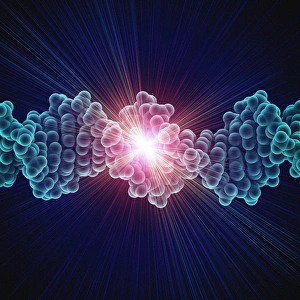 DNA Drucke: DNS-Molekül