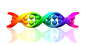 Double Helix Structure Drucke: DNA molecule, artwork C013 / 4687