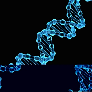 Deoxyribonucleic Acid Drucke: DNA molecule, artwork C013 / 9971