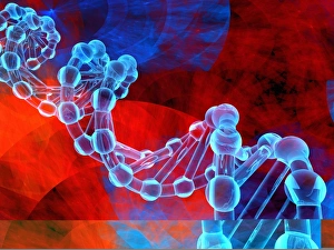 Deoxyribonucleic Acid Drucke: DNA molecule, artwork C013 / 9972