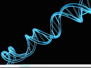 Double Helix Structure Drucke: DNA molecule, artwork C013 / 9975
