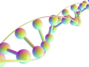 DNS-Molekül, Computerartwork