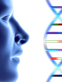Deoxyribonucleic Acid Image Drucke: DNA molecule and face