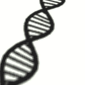 DNA Double Helix Drucke: DNA molecule shadow