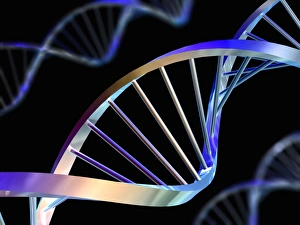 DNA Drucke: DNS-Moleküle
