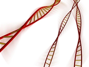 Computer Generated DNA Image Drucke: DNA molecules, computer artwork