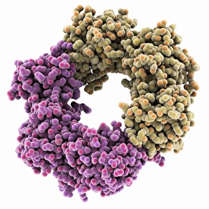 Molecular Biology Images Drucke: DNA polymerase III subunit molecule