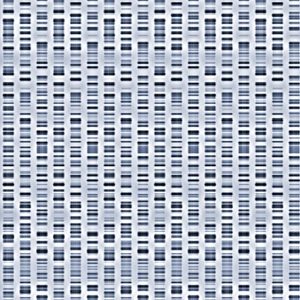 Genetic Code Explanation Drucke: DNA sequences