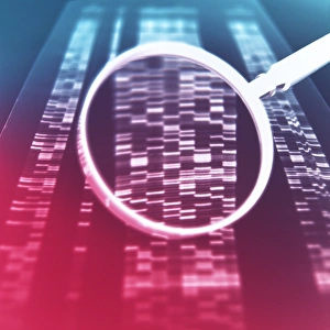 Genetic Analysis Drucke: DNA sequencing