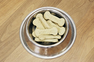 Gerahmter Druck : Hundekuchen Gerahmter Druck : Hundekuchen