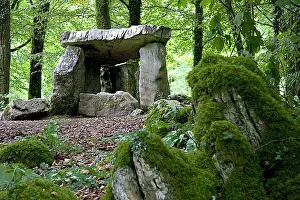Ancient Irish Monuments Drucke: Dolmen