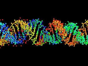DNA Drucke: Doppelstrang-RNA-Molekül