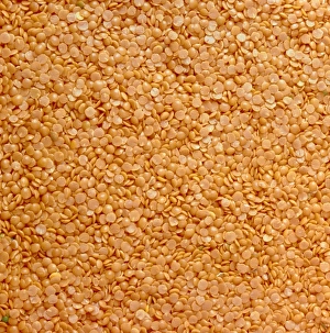Lentil Nutrition Facts Drucke: Dried lentils, a type of pulse