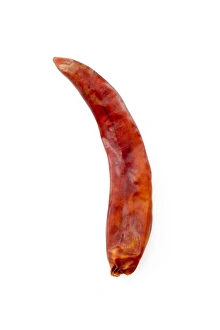 Spicy Food Ingredient Drucke: Dried red chilli pepper