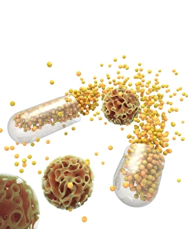 Antibiotic Resistant Bacteria Drucke: Drug Resistant Microbes, computer artwork