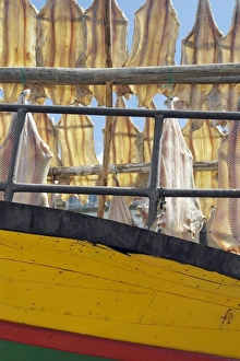 Food Preservation Techniques Drucke: Drying fish C016 / 8428