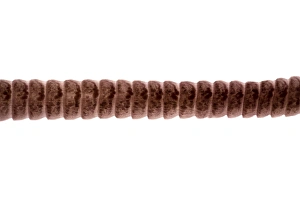 Riesenwurm (Eustrongylides tubicola), Lichtmikroskopbild