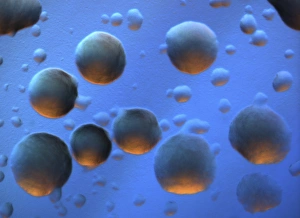 E Coli Bacteria Drucke: E. coli bacteria colony, light micrograph