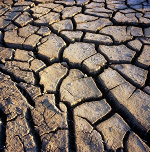 Cracked Earth Drucke: e1470071