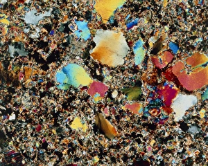 Polarized Light Microscopy Drucke: e4170092