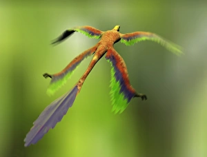 Motion Blur Effect Images Drucke: e4460690