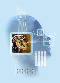 Biometric Identification Drucke: Ear biometrics, artwork