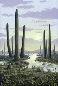 Frühes Devonzugangslandchaft, Kunstwerk C016/5348